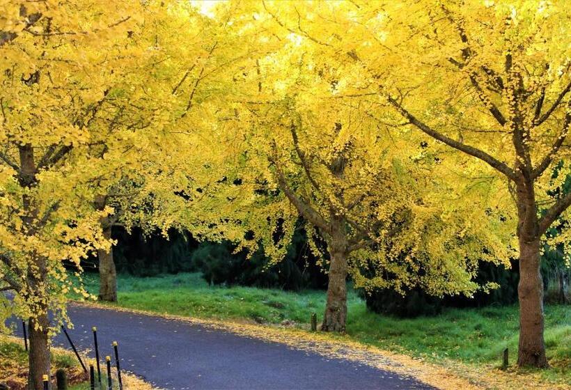 פנסיון Serenity Views