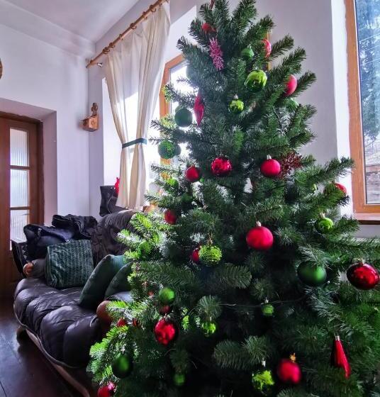 ペンション Vila Zia