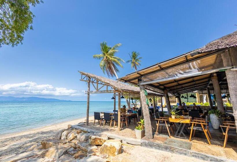 Absolute Beachfront Resort