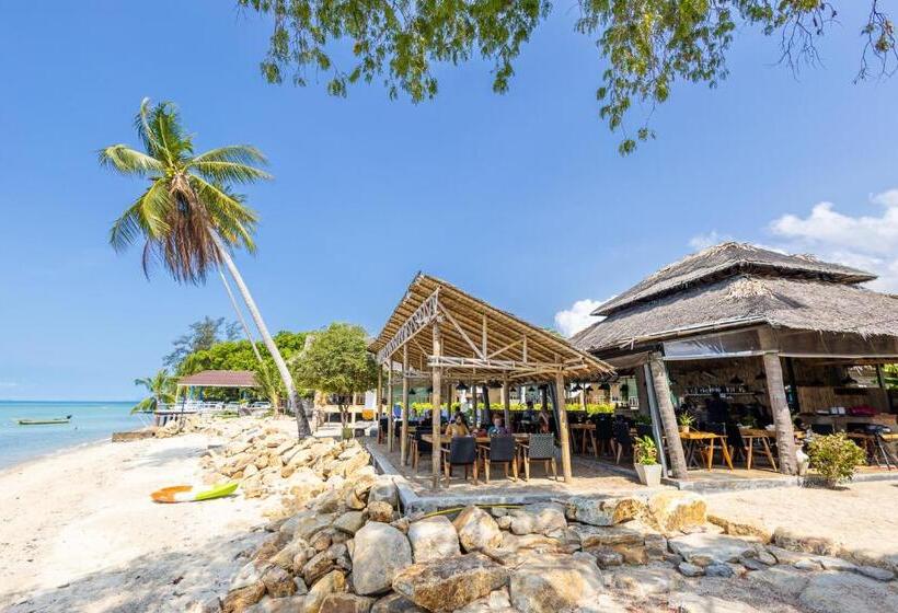 Absolute Beachfront Resort