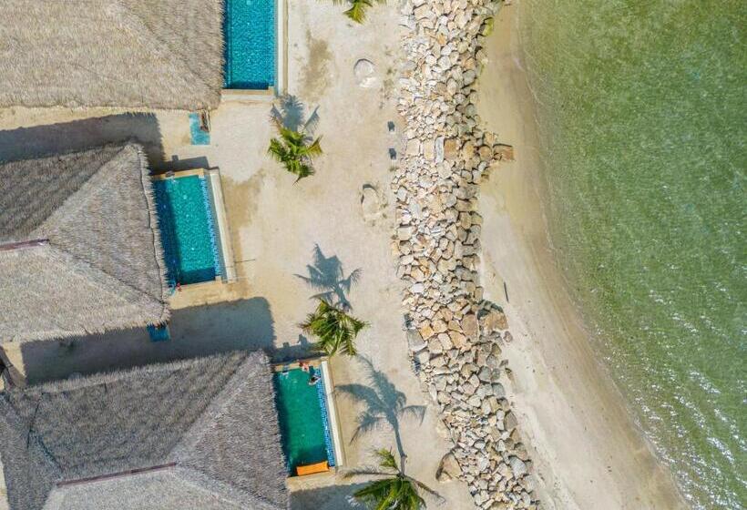 Absolute Beachfront Resort