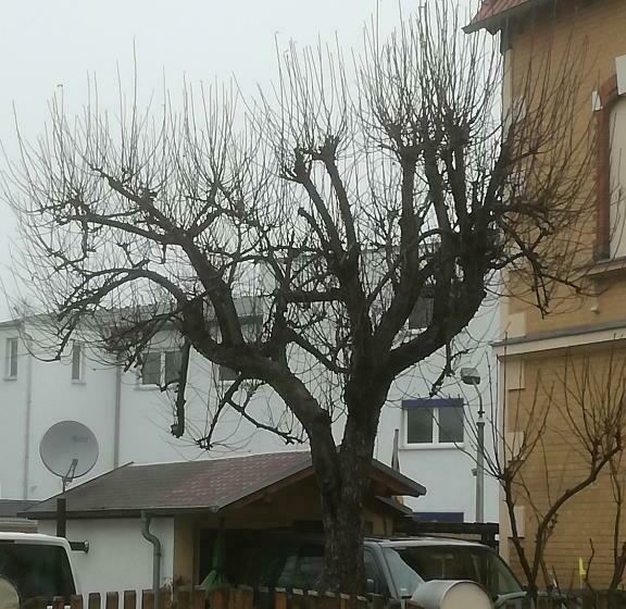 ユースホステル Auestraße 94a