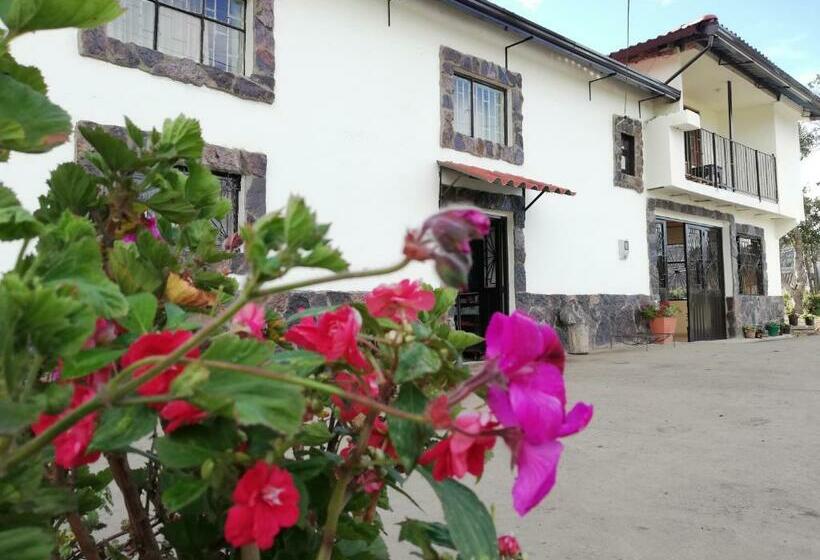 فندق صغير Hospedaje Vivienda Turística La Puerta