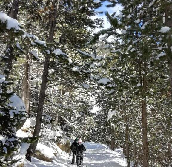 ユースホステル Familiehotel La Randulina