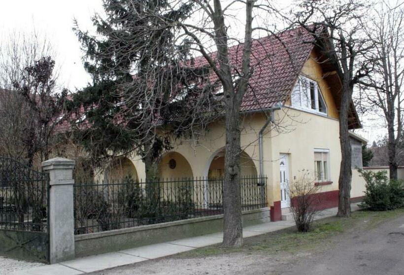 مبيت وإفطار Casa Napsugár Panzió