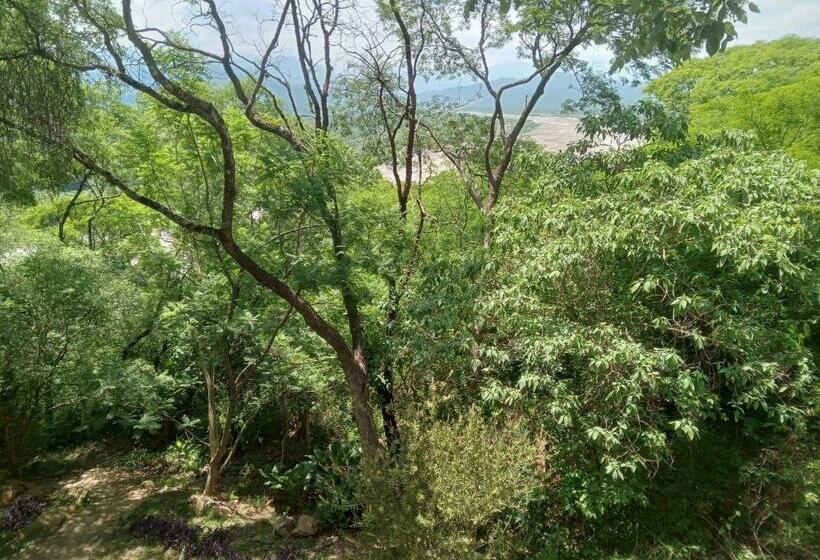 ベッドアンドブレックファースト Namasté Casa Rural