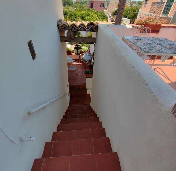 Bed and Breakfast Summer Paradise