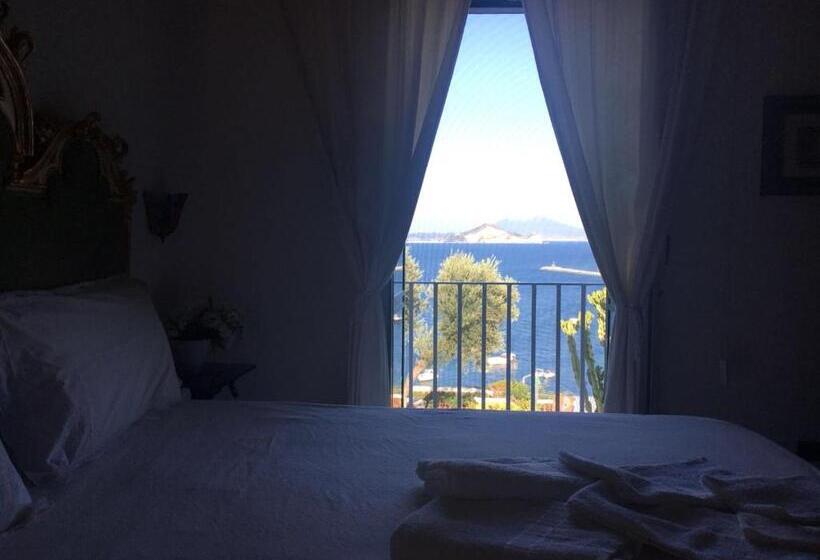 Bed and Breakfast Summer Paradise