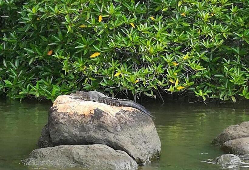 צימר Vivid Lanka