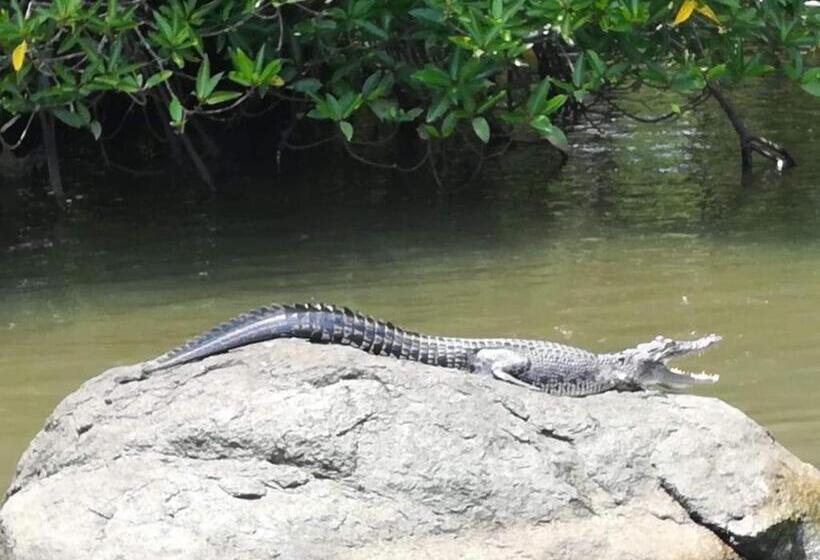 צימר Vivid Lanka