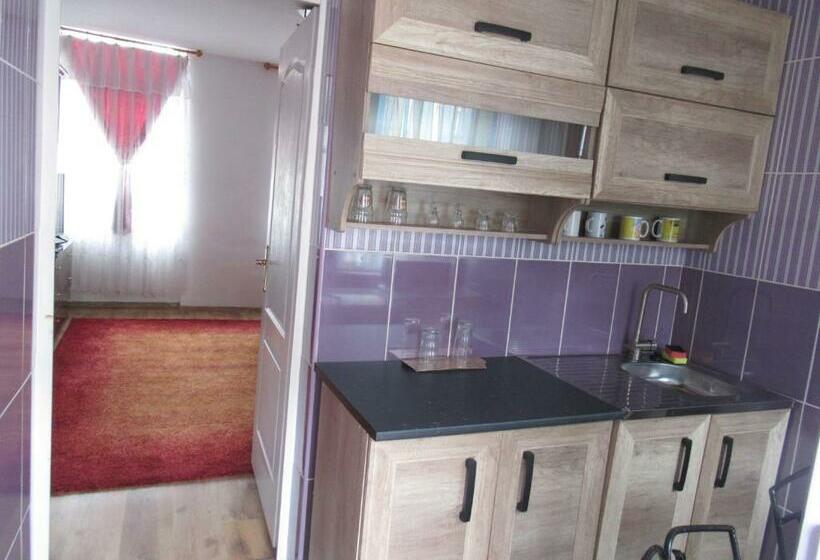 بنسيون Bercsényi Vendégház