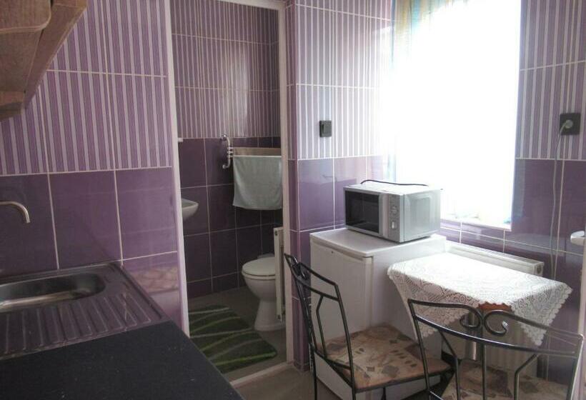 بنسيون Bercsényi Vendégház