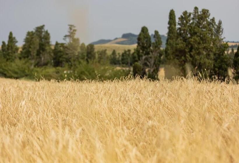 فندق Agriturismo La Valle Della Lavanda   Podere Mezzastrada