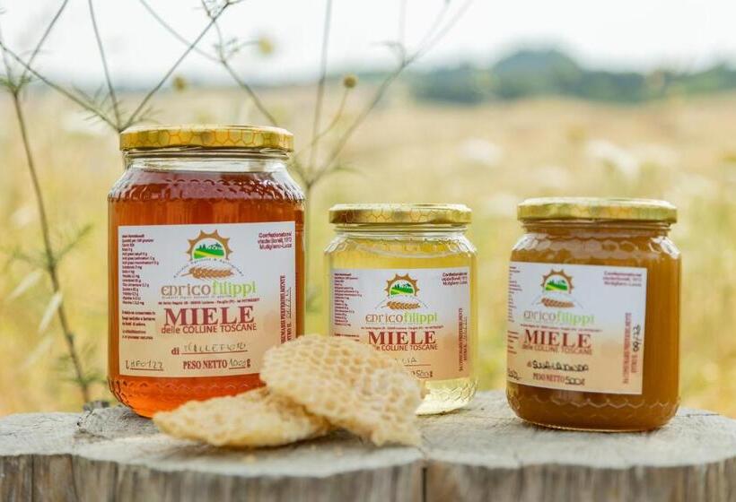 فندق Agriturismo La Valle Della Lavanda   Podere Mezzastrada