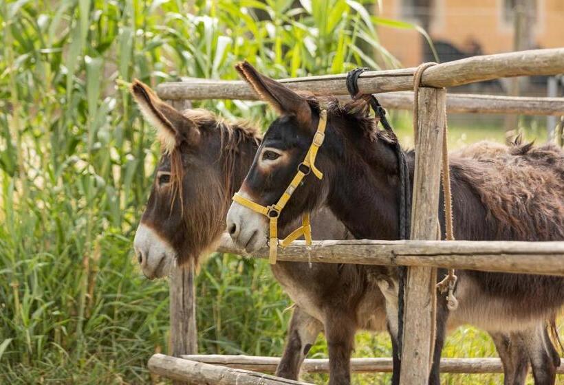 فندق Agriturismo La Valle Della Lavanda   Podere Mezzastrada