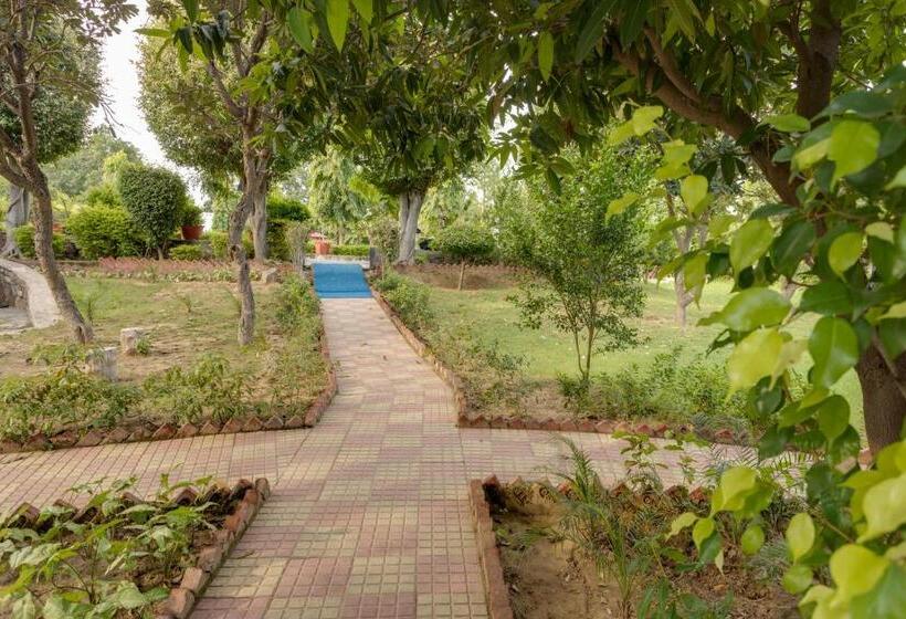 Отель Avanti Retreat Farm Stay