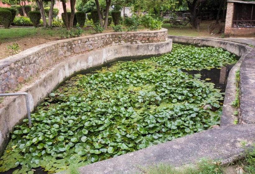 Отель Avanti Retreat Farm Stay