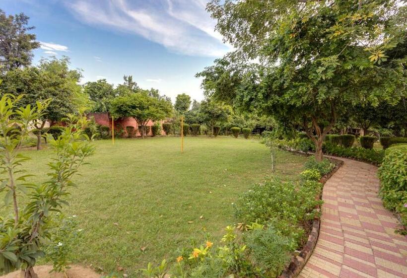 Отель Avanti Retreat Farm Stay