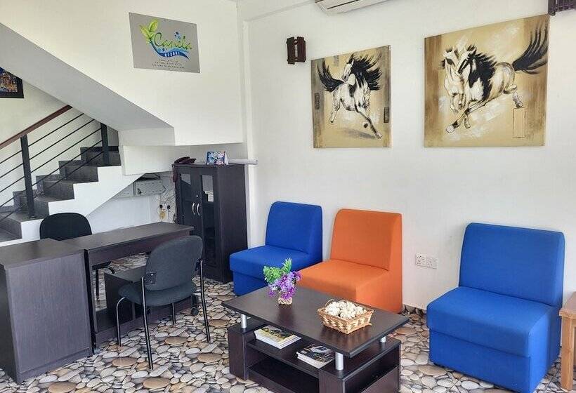 ホテル Canela Villa