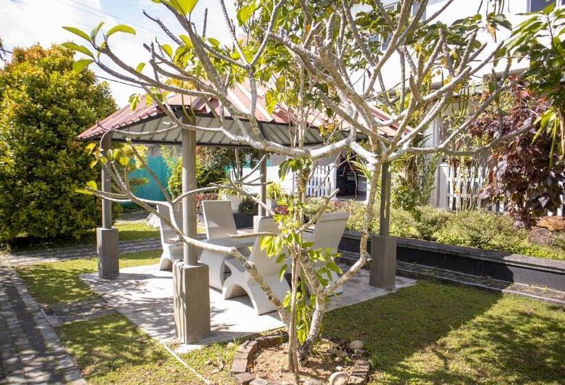 Отель Chamaya Holiday Inn