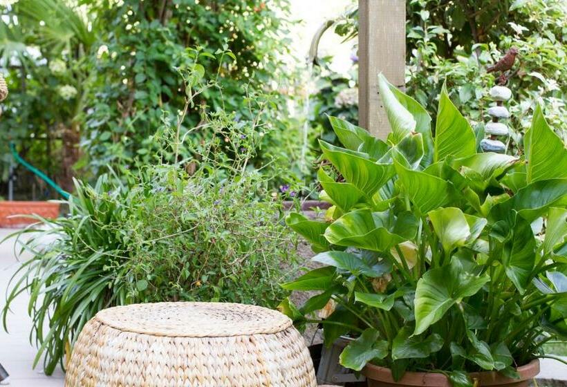 Отель Pension Lafod