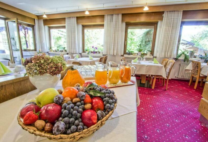 Отель Pension Lafod