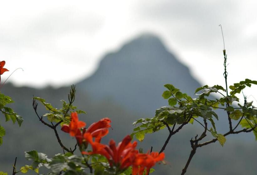 فندق Slightly Chilled