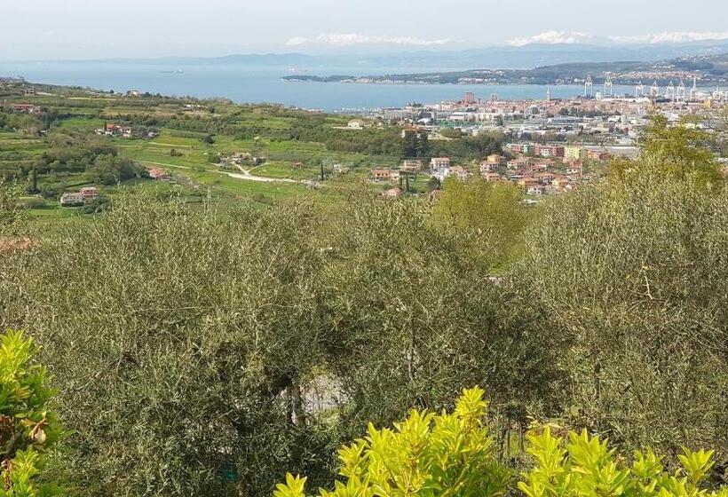 پانسیون Apartment And Rooms Parus