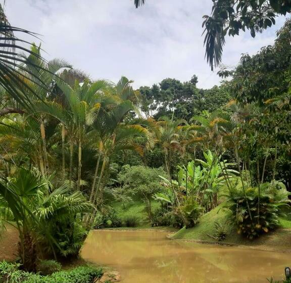 膳宿费 Chalés Refúgio Do Vale