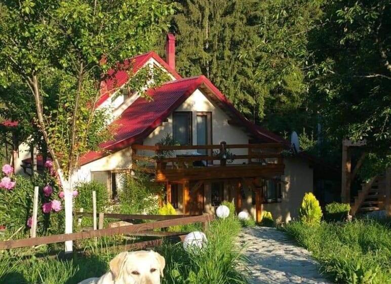 بنسيون Forest Vibes Spa
