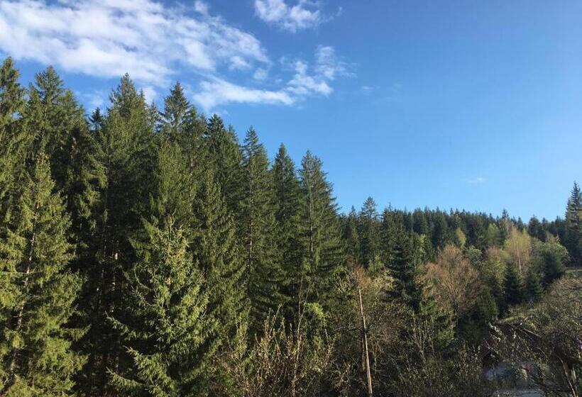 بنسيون Forest Vibes Spa