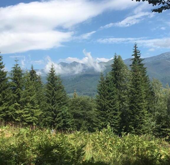 بنسيون Forest Vibes Spa