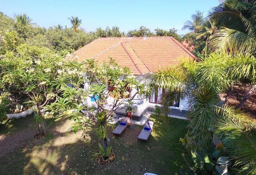 פנסיון Gede House Tejakula