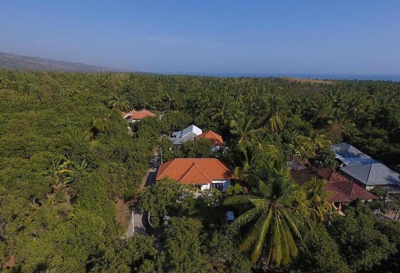 פנסיון Gede House Tejakula