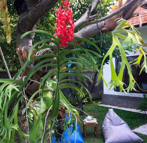 פנסיון Gede House Tejakula