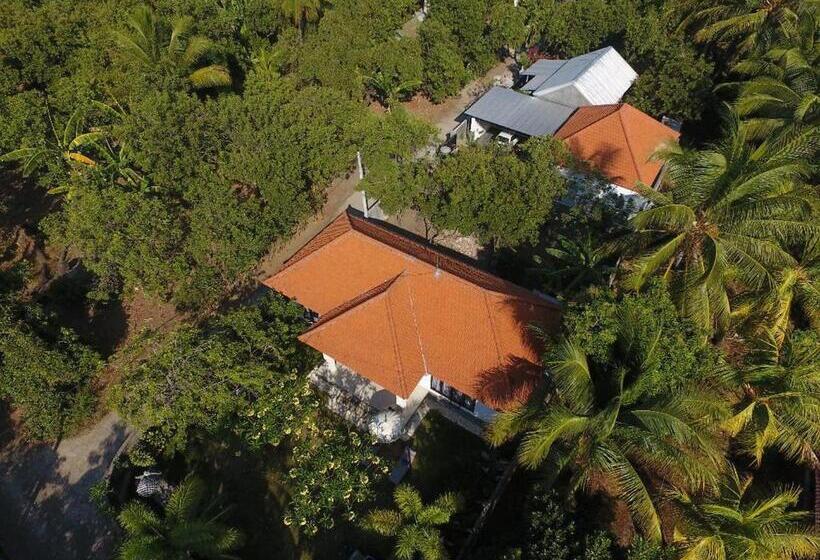 פנסיון Gede House Tejakula