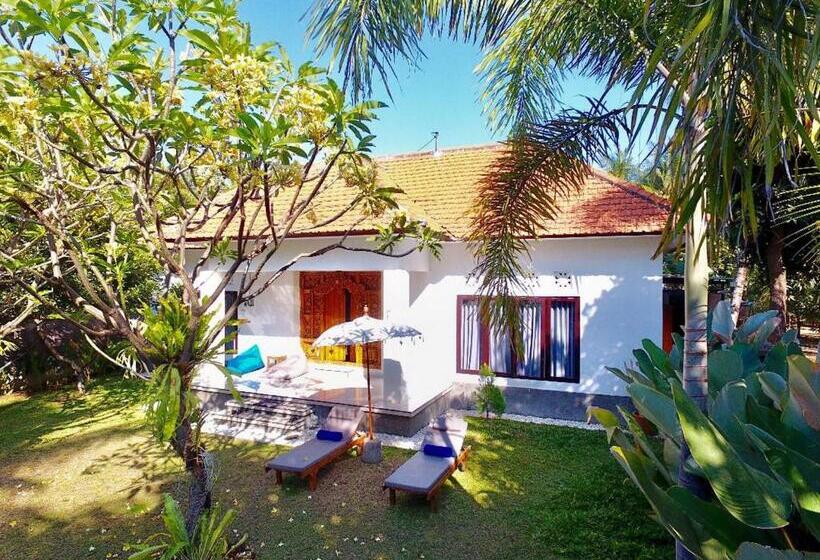 פנסיון Gede House Tejakula