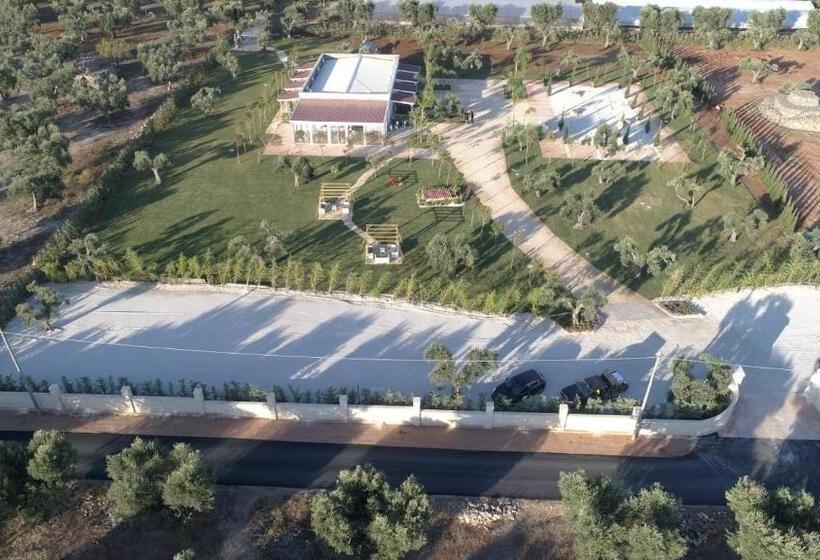 פנסיון L Ulivo E La Stella