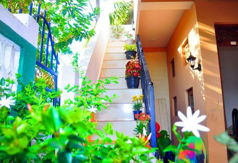 بنسيون Senero House