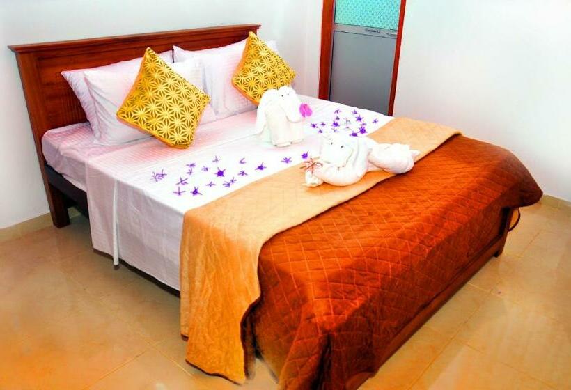 بنسيون Senero House