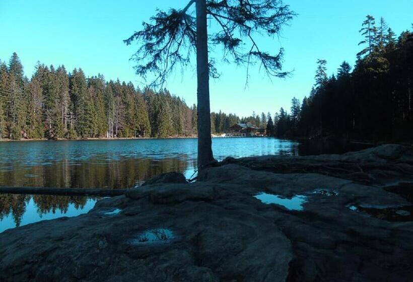 Pension Haus Waldesruh