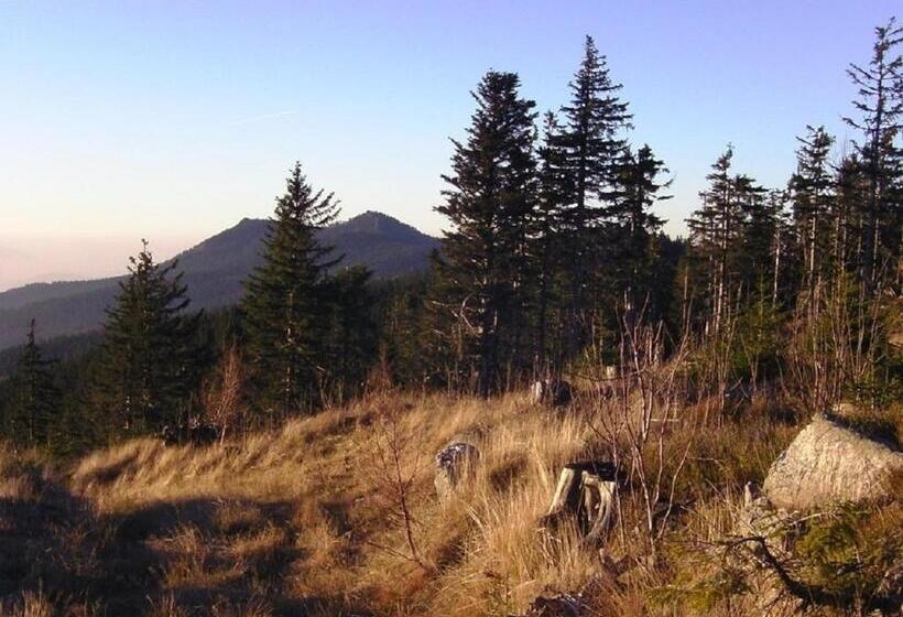 Pension Haus Waldesruh