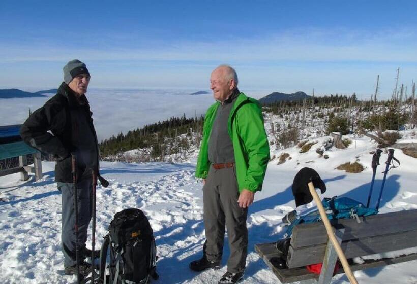 Pension Haus Waldesruh