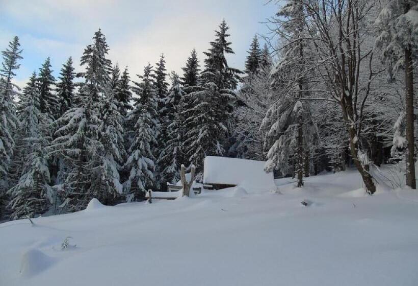 Pension Haus Waldesruh