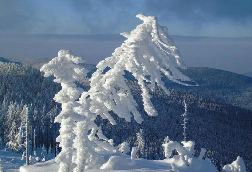 Pension Haus Waldesruh