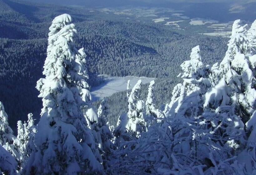 Pension Haus Waldesruh