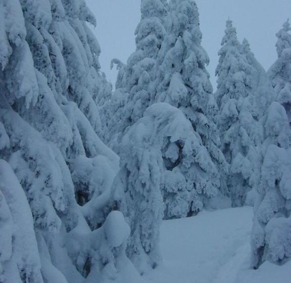 Pension Haus Waldesruh