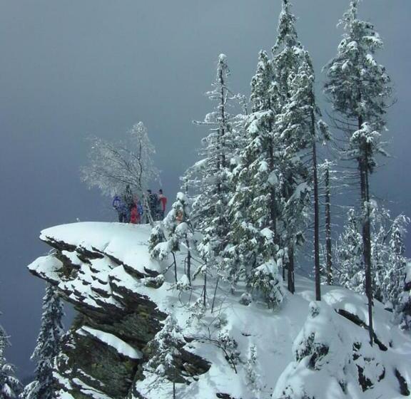 Pension Haus Waldesruh