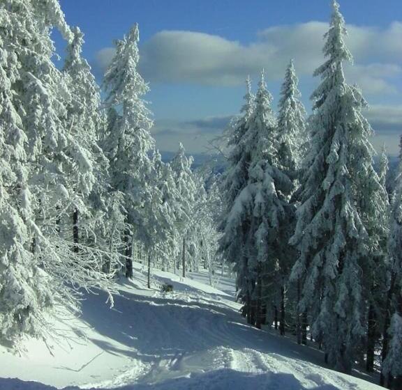 Pension Haus Waldesruh