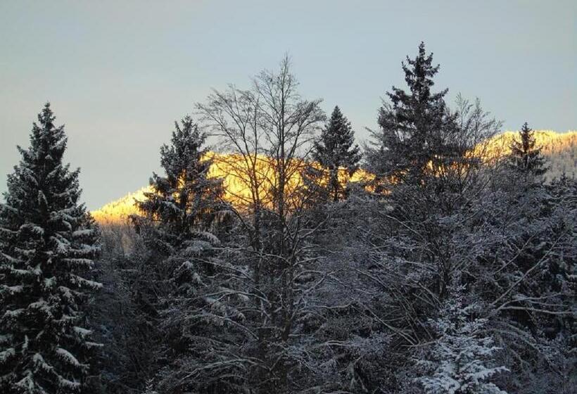 Pension Haus Waldesruh